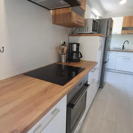 Apartment Irene Secovlje